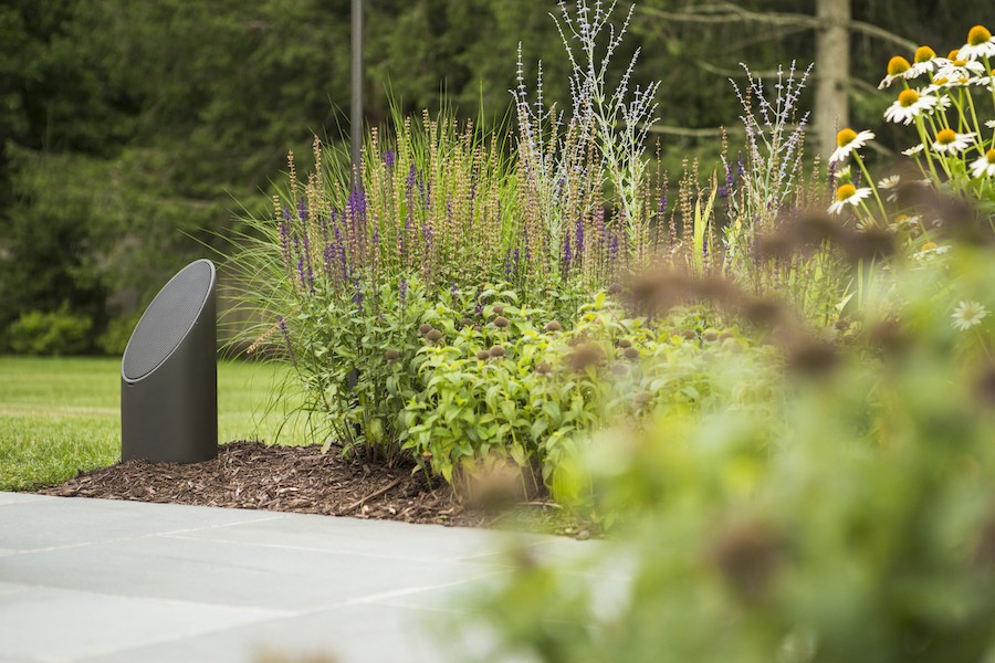 A discreet Coastal Source speaker in a garden.