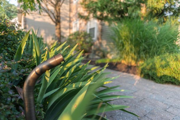 Outdoor landscape light fixture among green plants